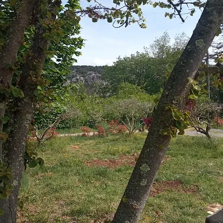 Hébergement de vacances Les Cyprès